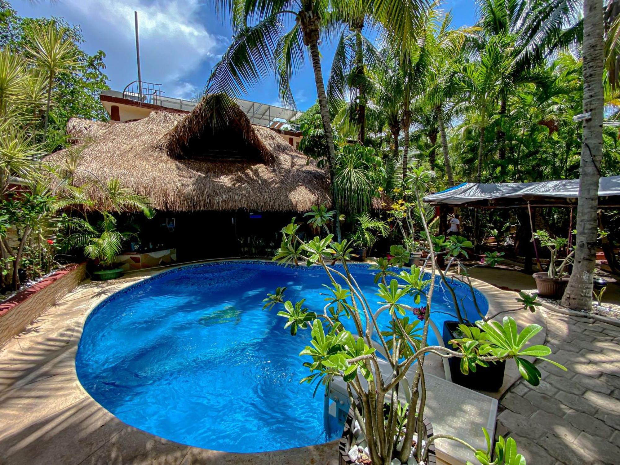 Cocos Cabanas Playa Del Carmen Adults Only ภายนอก รูปภาพ
