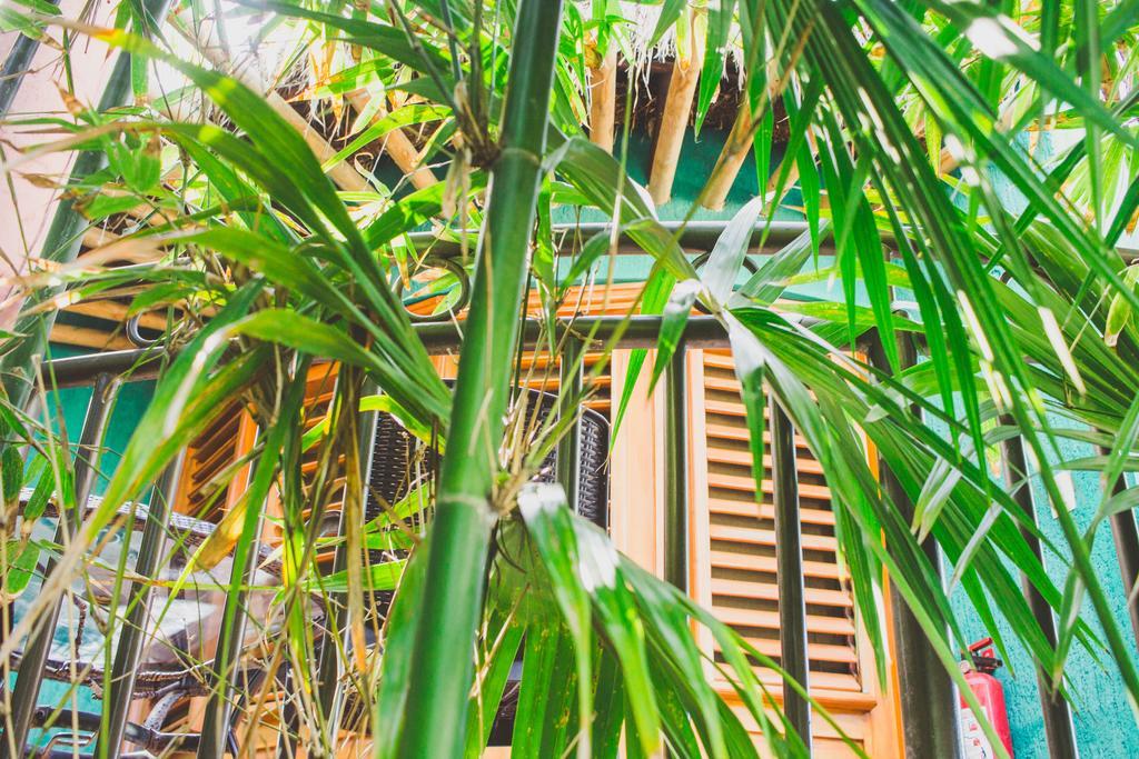 Cocos Cabanas Playa Del Carmen Adults Only ภายนอก รูปภาพ