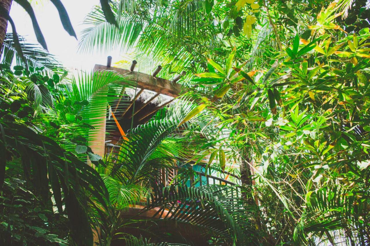 Cocos Cabanas Playa Del Carmen Adults Only ภายนอก รูปภาพ